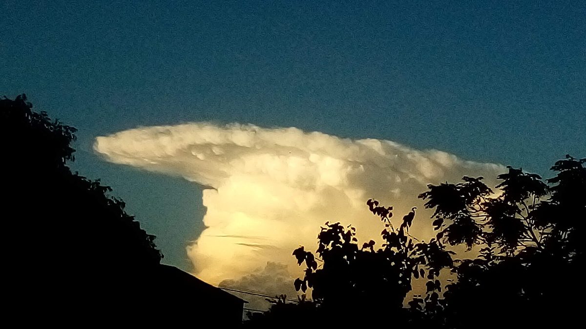 Nuvem de tempestade do tipo cumulonimbus ao entardecer, atrás de árvores