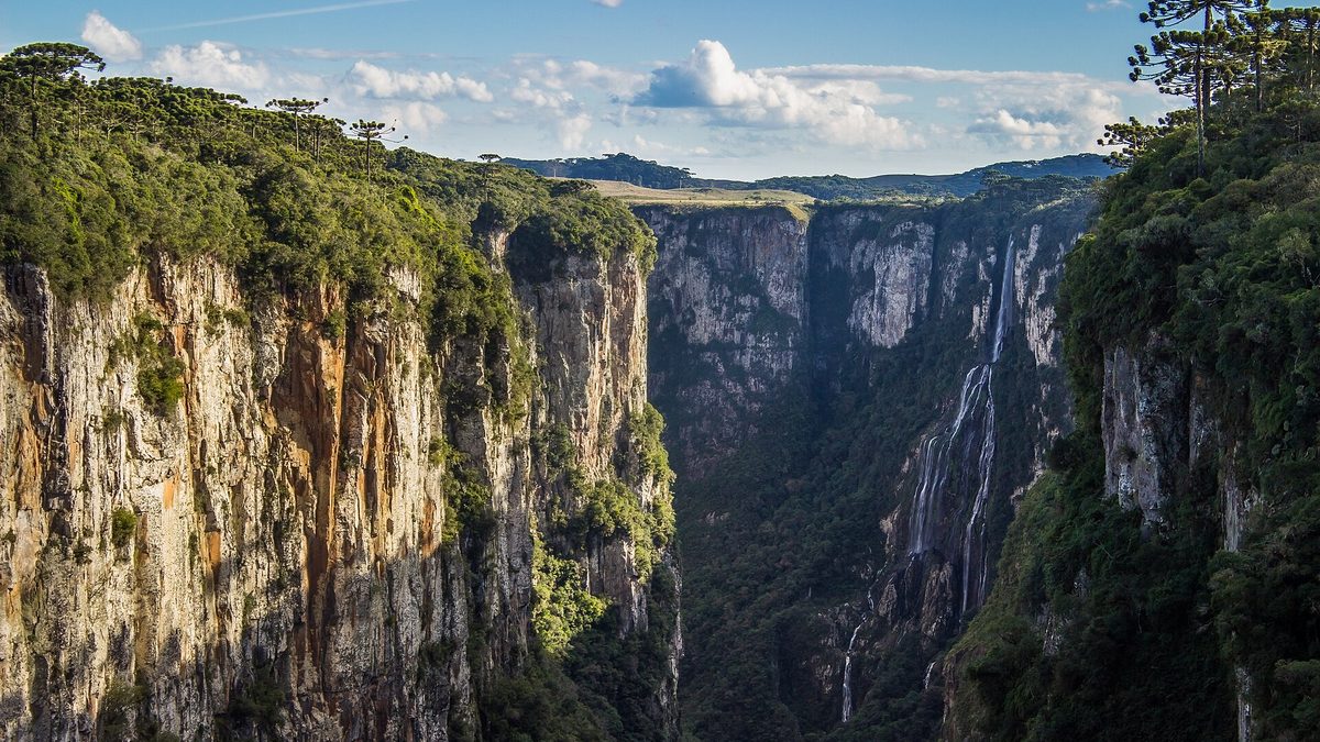 Paredões verticais do Cânion Itaimbezinho cobertos de mata, sob céu azul, em Cambará do Sul