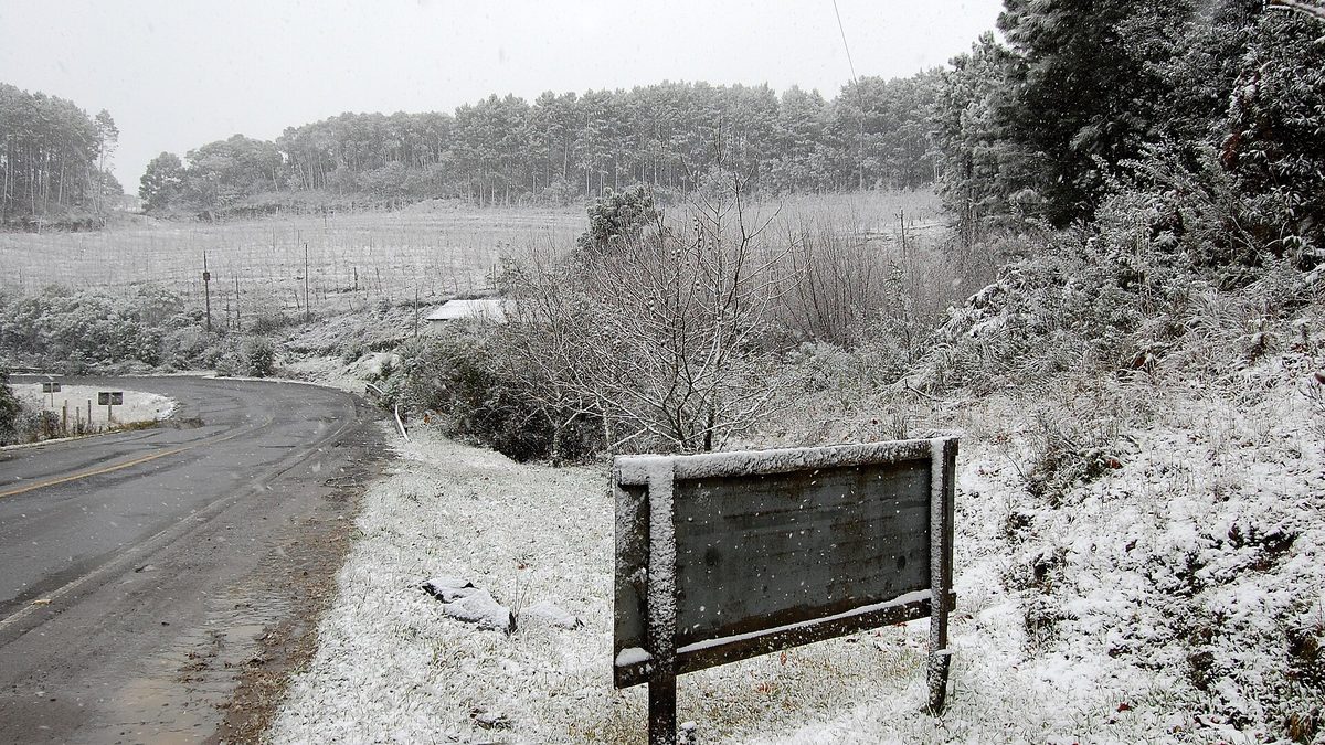 Neve cobre o acostamento e a vegetação à beira da SC-438, em São Joaquim (SC)