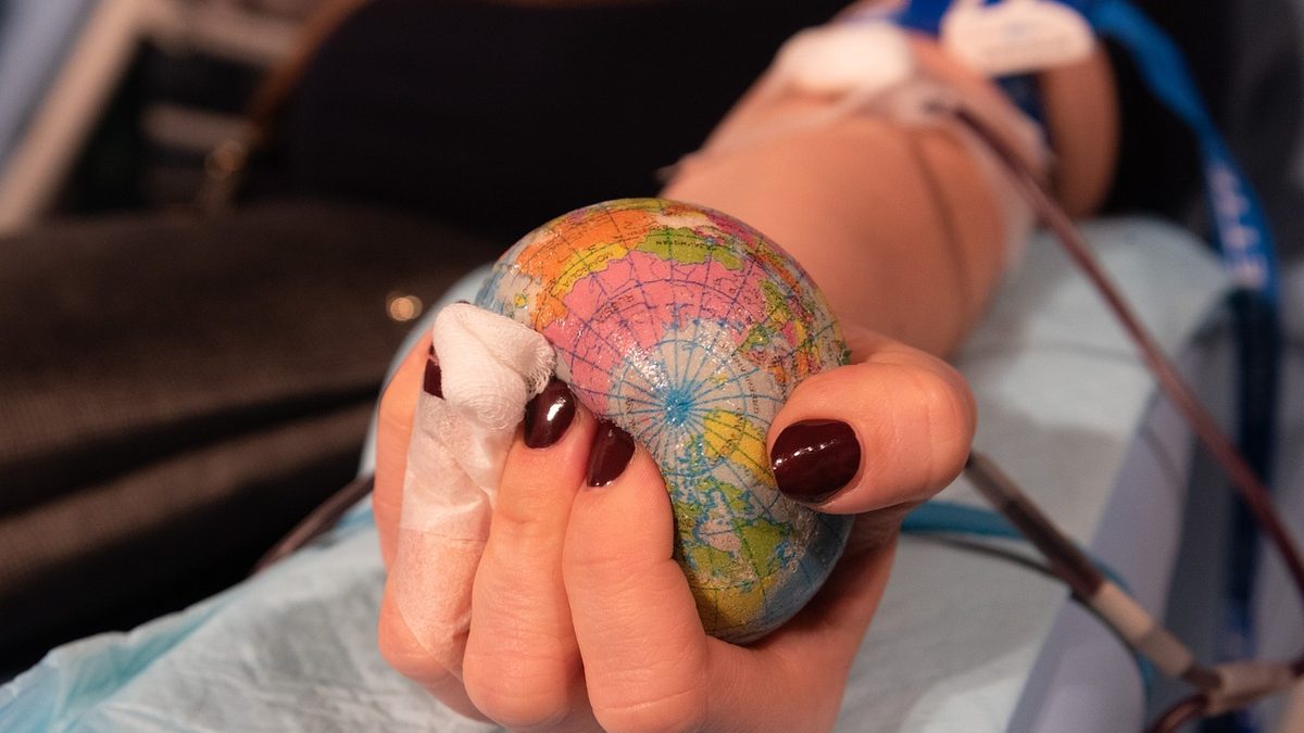 Doadora aperta bolinha em forma de globo durante a coleta de sangue