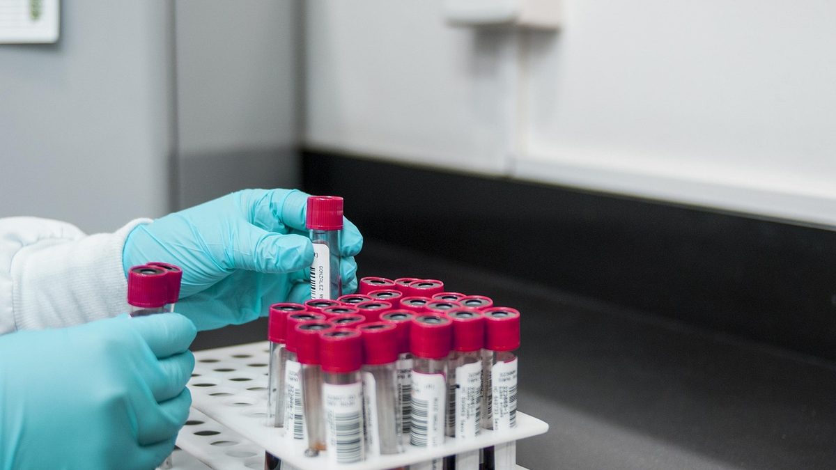 Mãos com luvas azuis seguram tubos de amostras de sangue em um laboratório