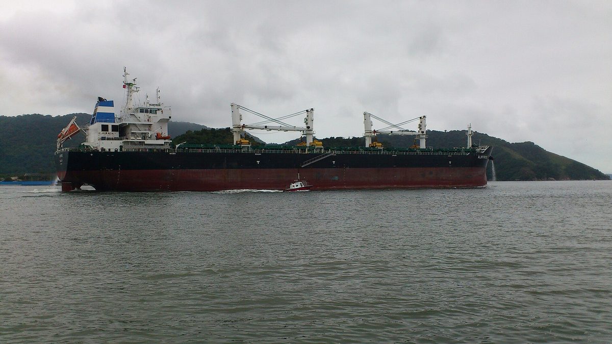 Navio graneleiro deixa o canal do Porto de Santos, com morros ao fundo