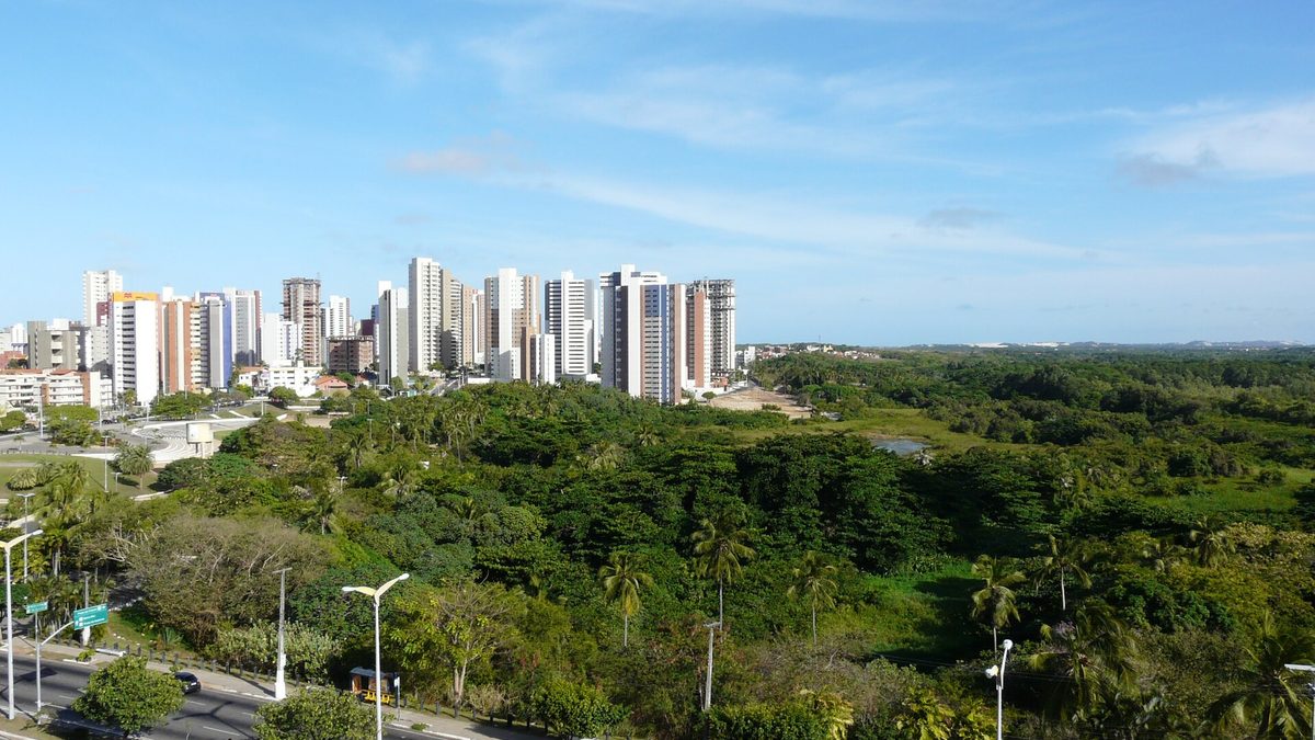 Mata do Parque do Cocó com prédios ao fundo, em Fortaleza