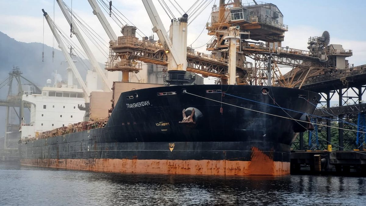 Navio graneleiro atracado em terminal de granéis do Porto de Santos