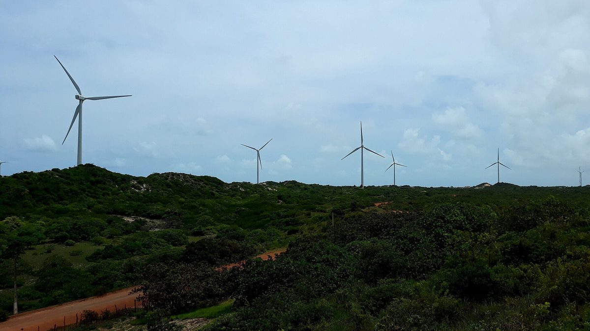 Aerogeradores do parque eólico Arizona I em meio à vegetação de Rio do Fogo, no Rio Grande do Norte