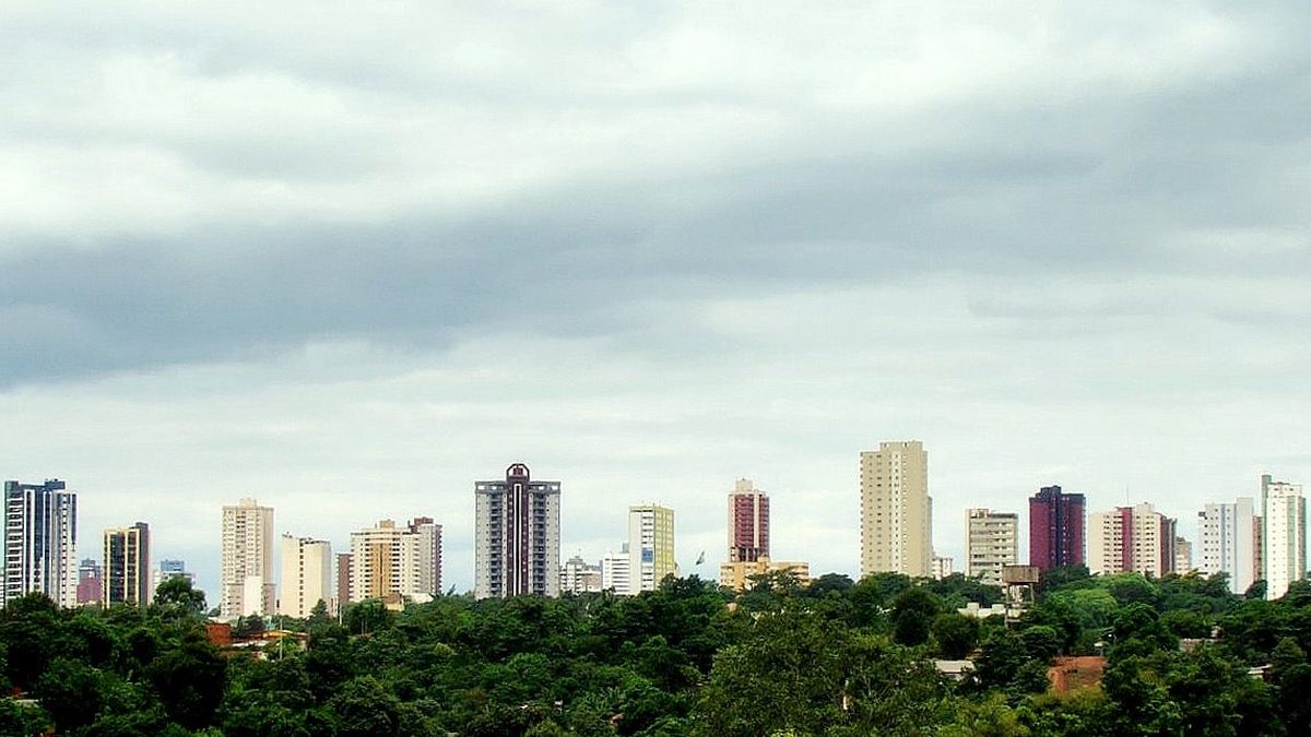 Prédios do centro de Foz do Iguaçu acima da mata, vistos de longe