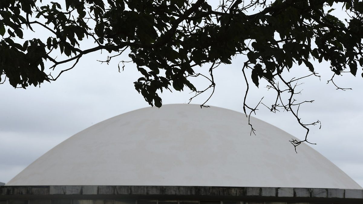Cúpula do Senado Federal emoldurada por galhos de árvore, em Brasília