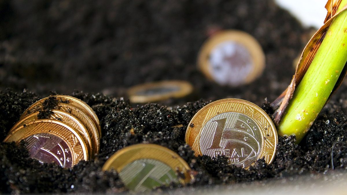 Moedas de 1 real enterradas na terra ao lado de um broto verde