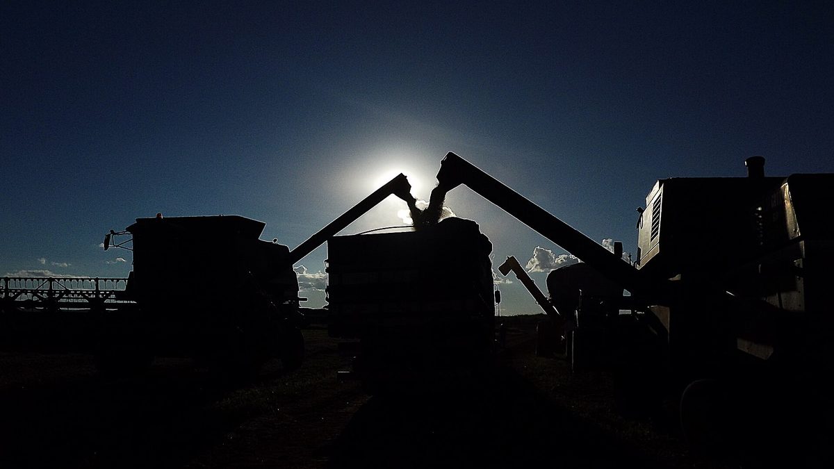 Colheitadeiras descarregam soja em caminhão contra o sol, em lavoura de Goiatuba (GO)