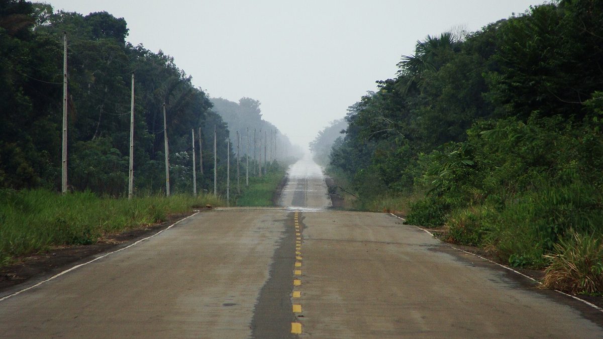 Trecho asfaltado da BR-319 em meio à floresta amazônica