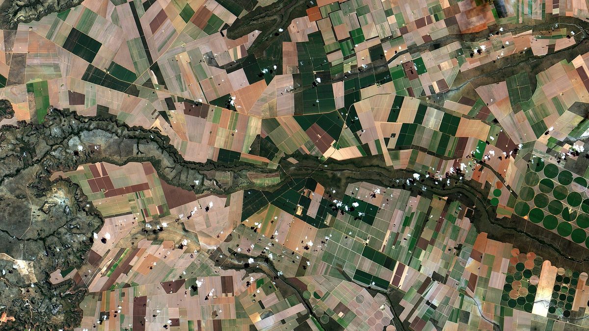 Lavouras e pivôs de irrigação no cerrado do oeste da Bahia vistos por satélite