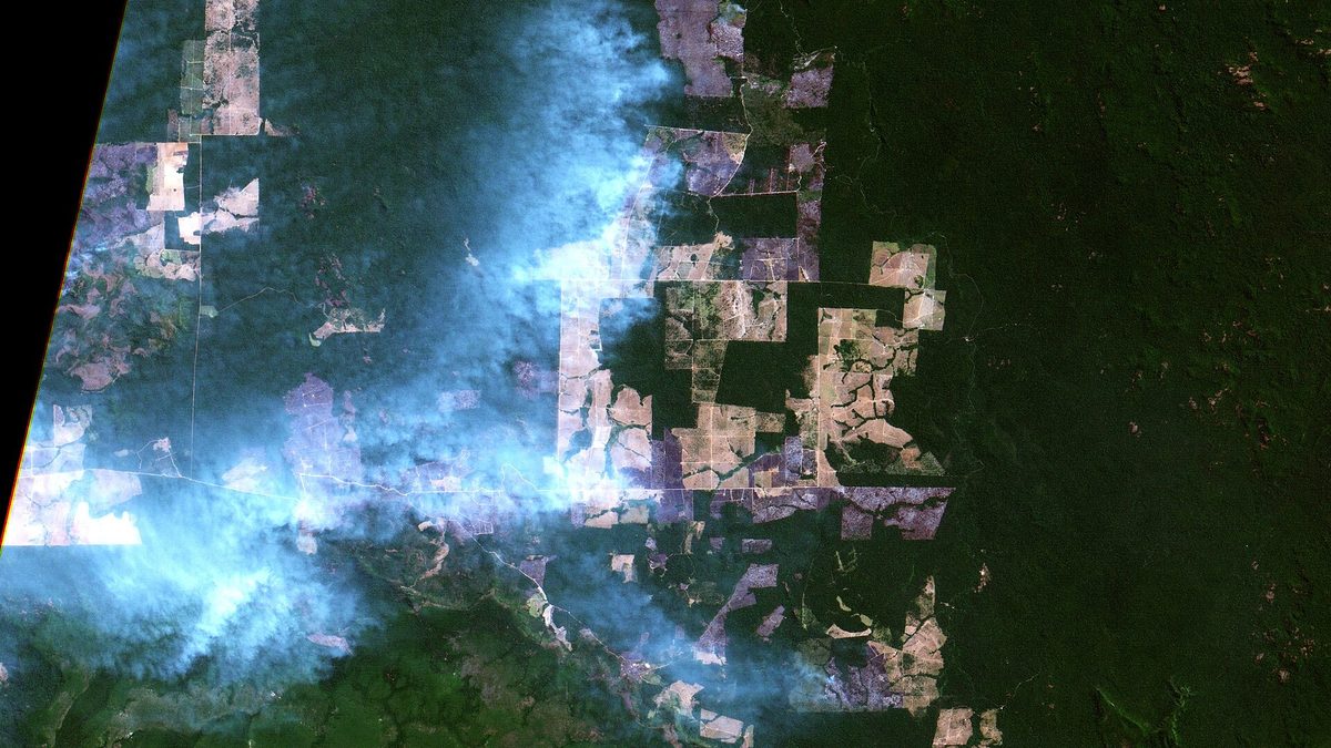 Imagem de satélite com fumaça de queimadas sobre floresta e áreas desmatadas em Altamira, no Pará