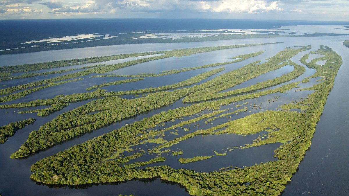 Ilhas do arquipélago de Anavilhanas, no rio Negro, no Amazonas, vistas do alto