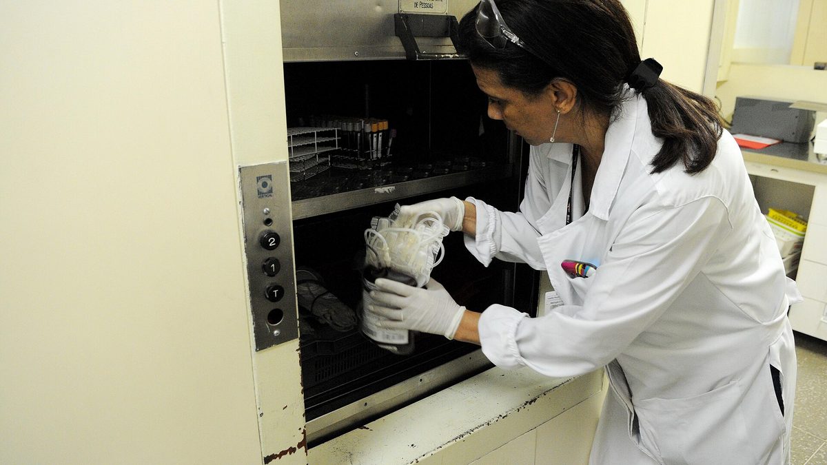 Técnica de laboratório manuseia bolsa de sangue no Hemocentro de Brasília
